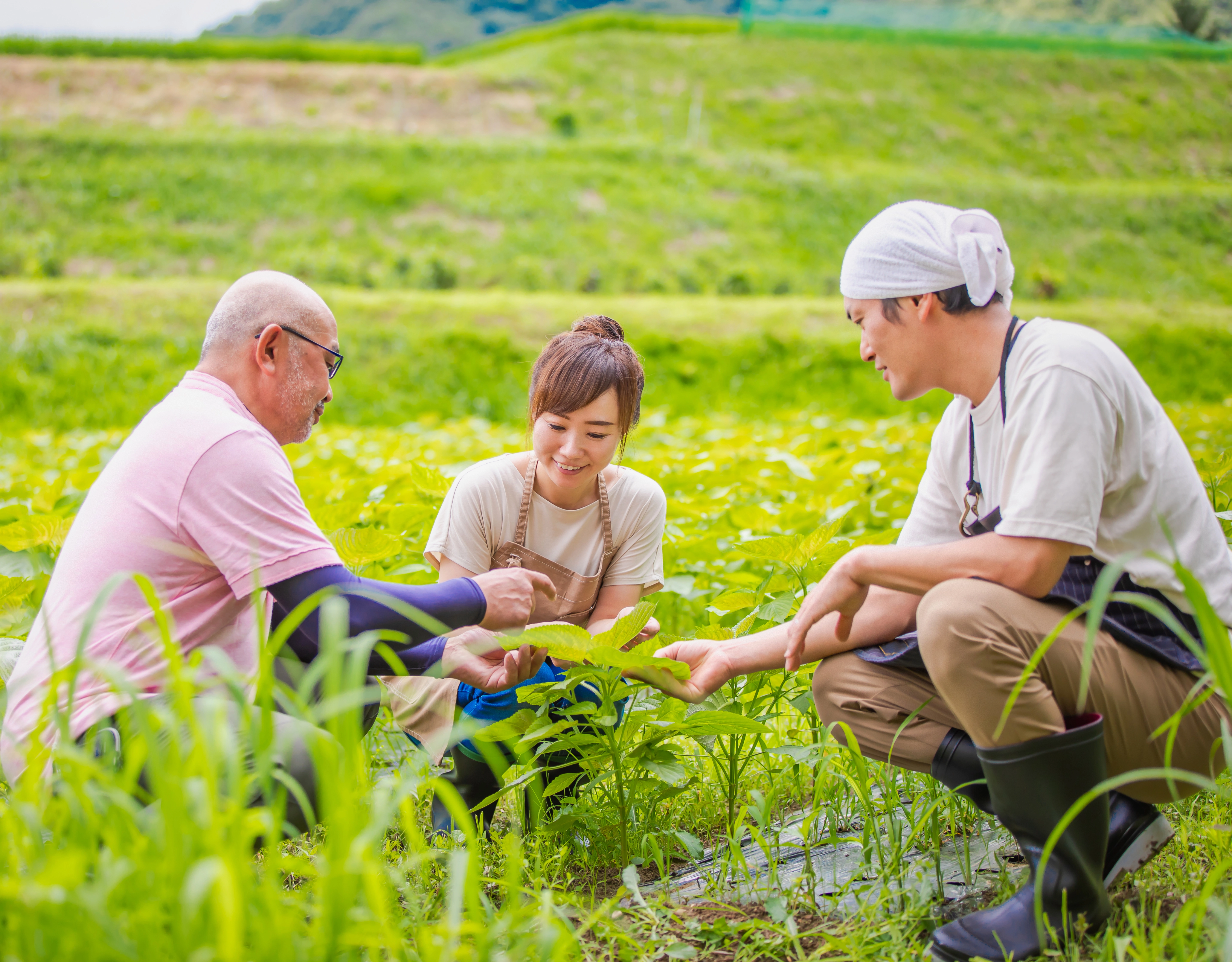 持続可能な事業へ