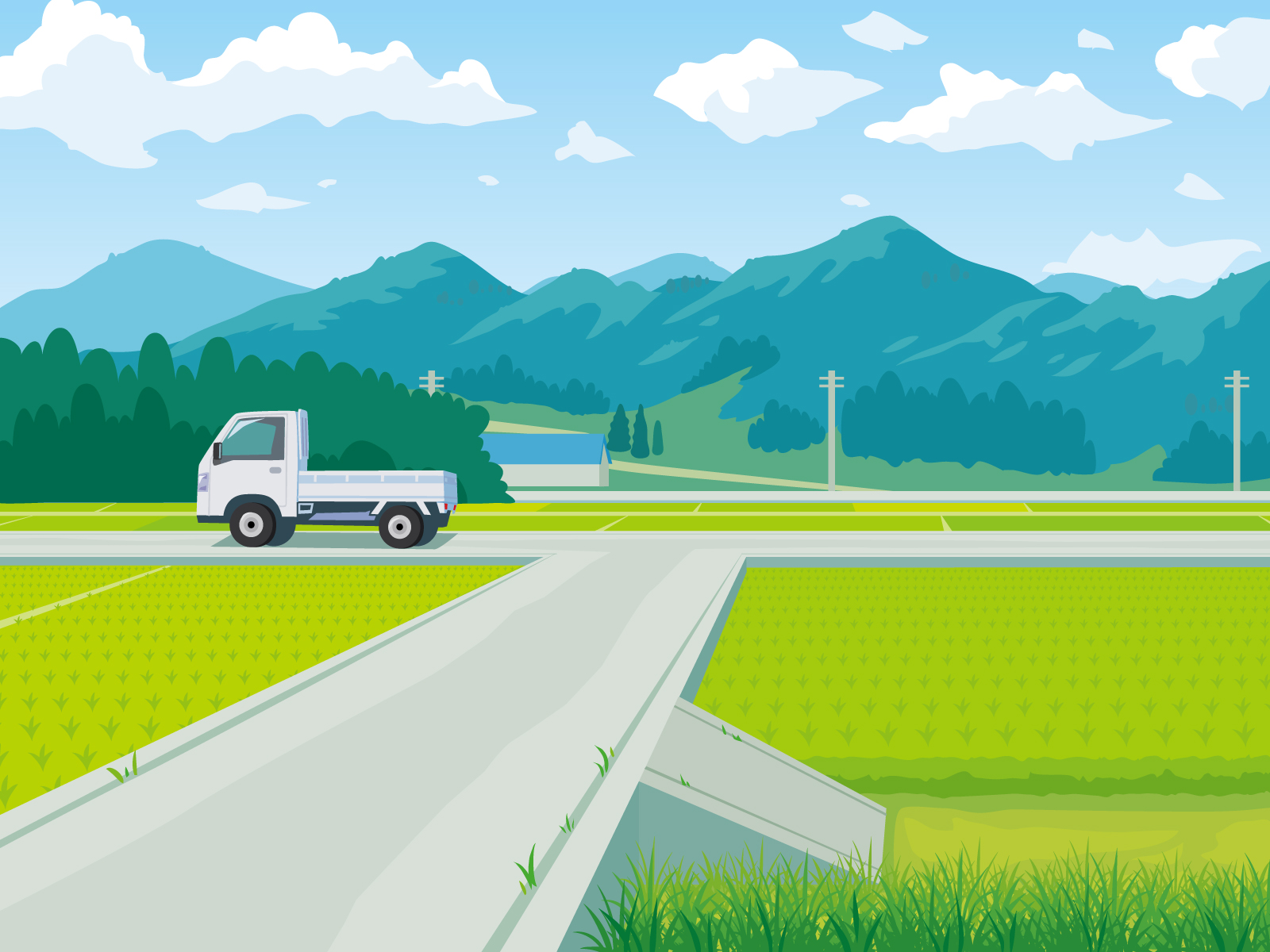 美しい水田の風景